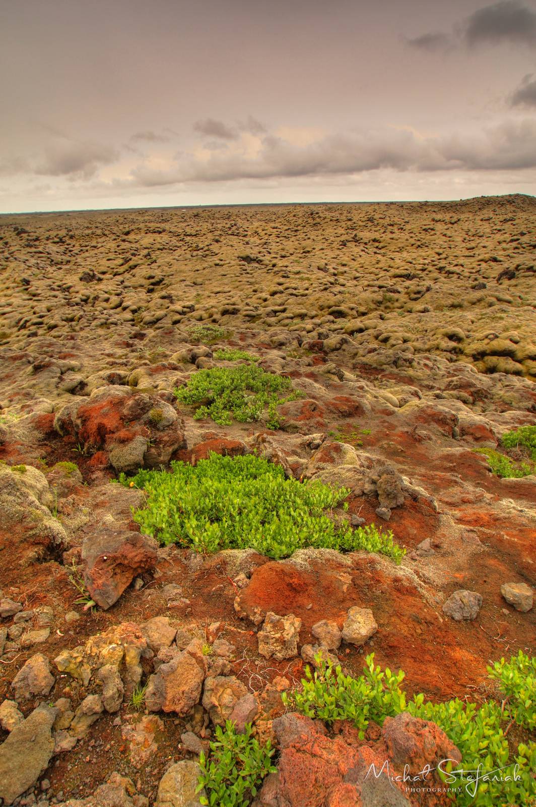 490 IMG 4274 5 6Enhancer